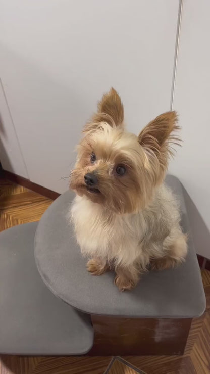CEPILLO VAPORIZADOR PARA MASCOTAS